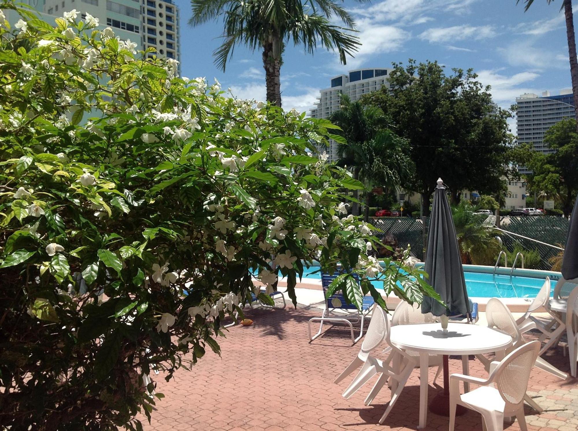 Birch Patio Motel Fort Lauderdale Dış mekan fotoğraf