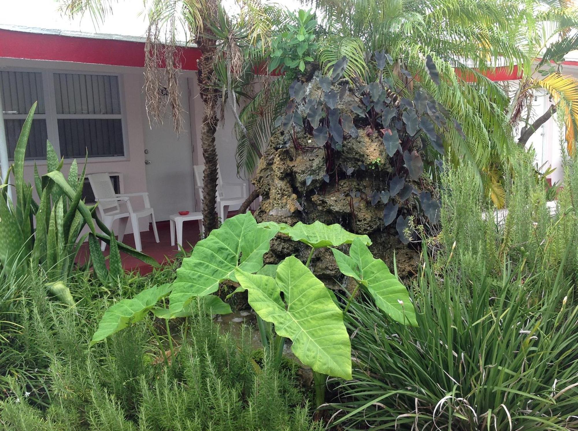 Birch Patio Motel Fort Lauderdale Dış mekan fotoğraf